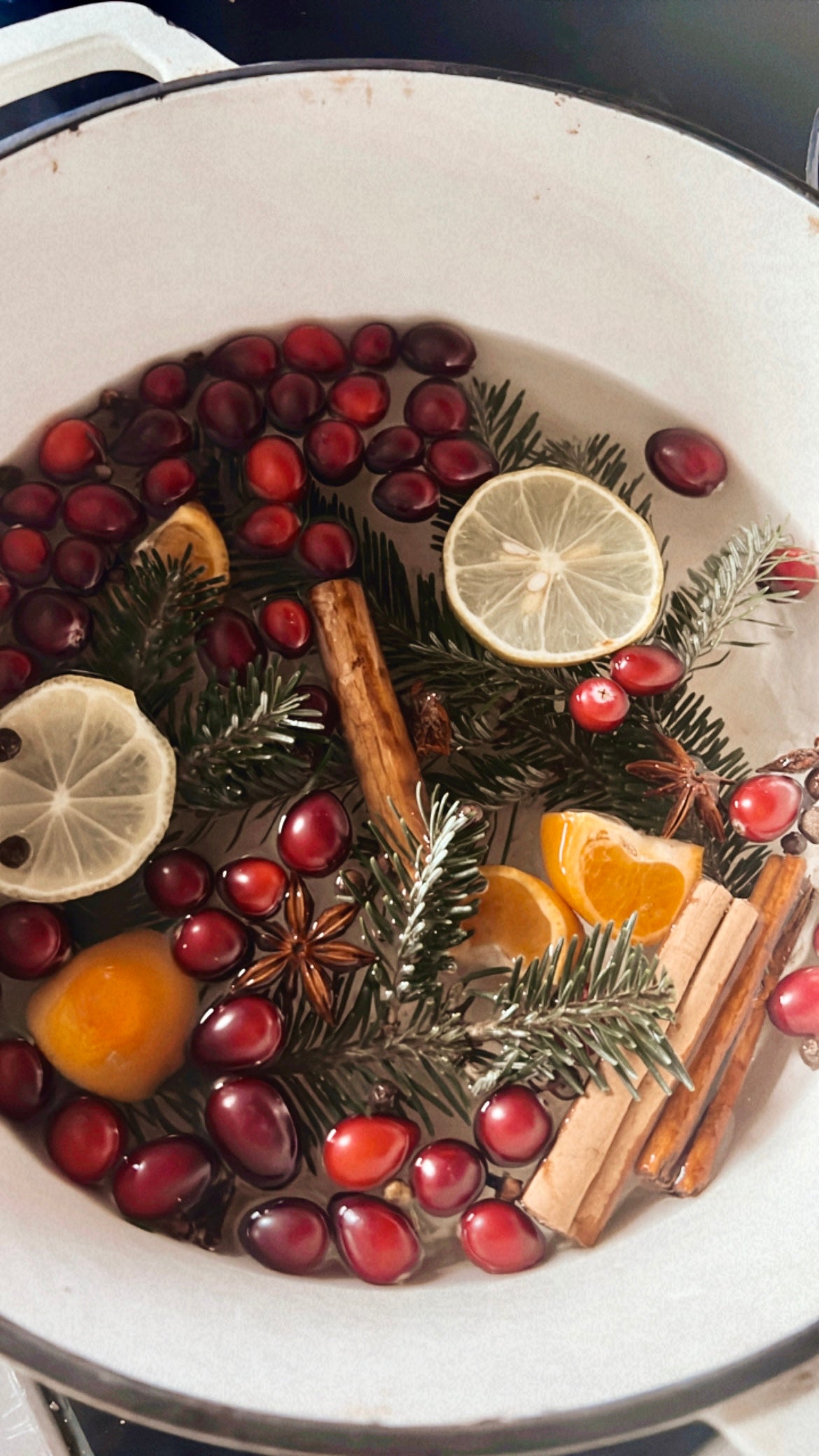 Stovetop Simmer Pots