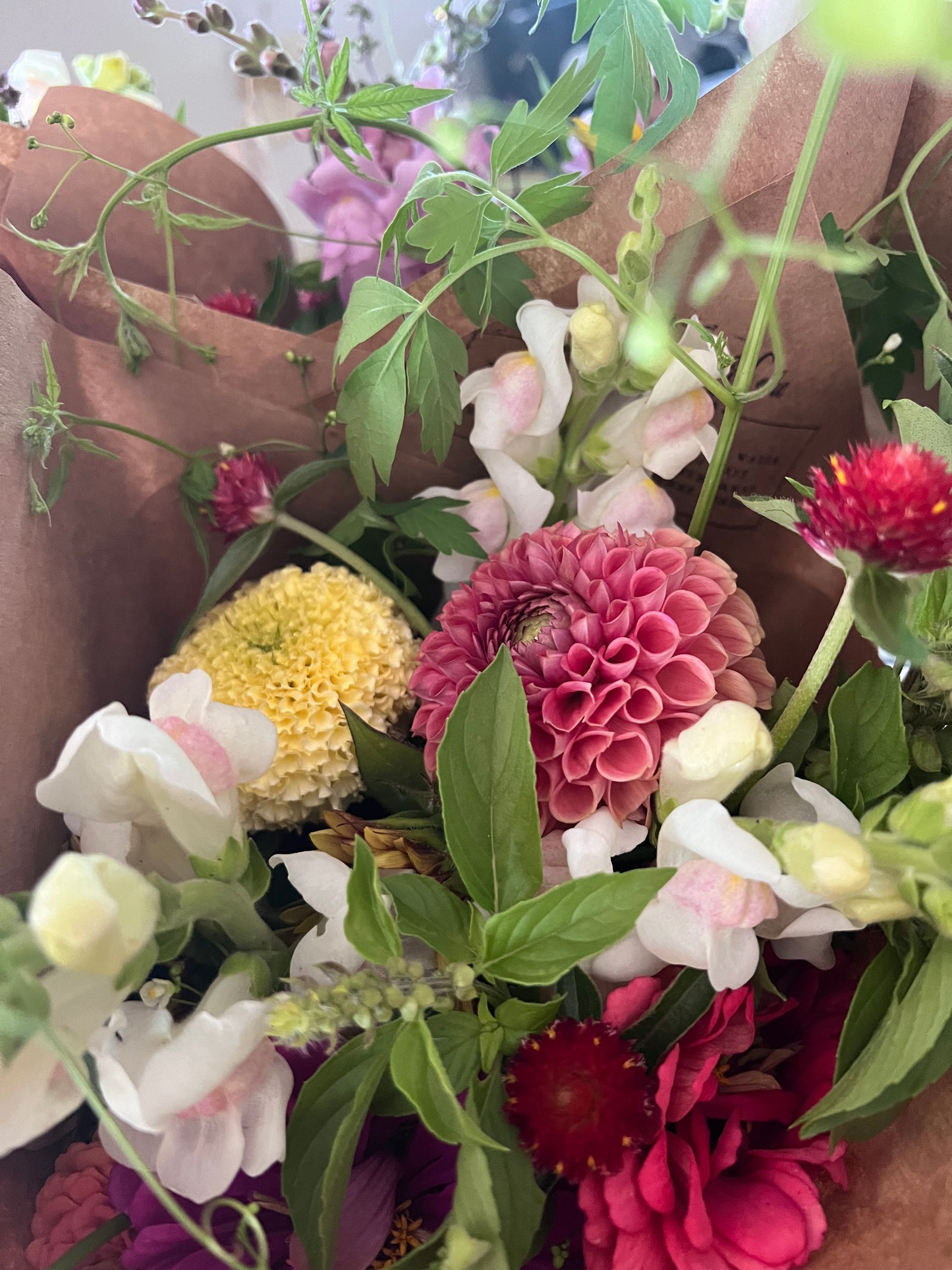 2026 Summer Subscription - Weekly