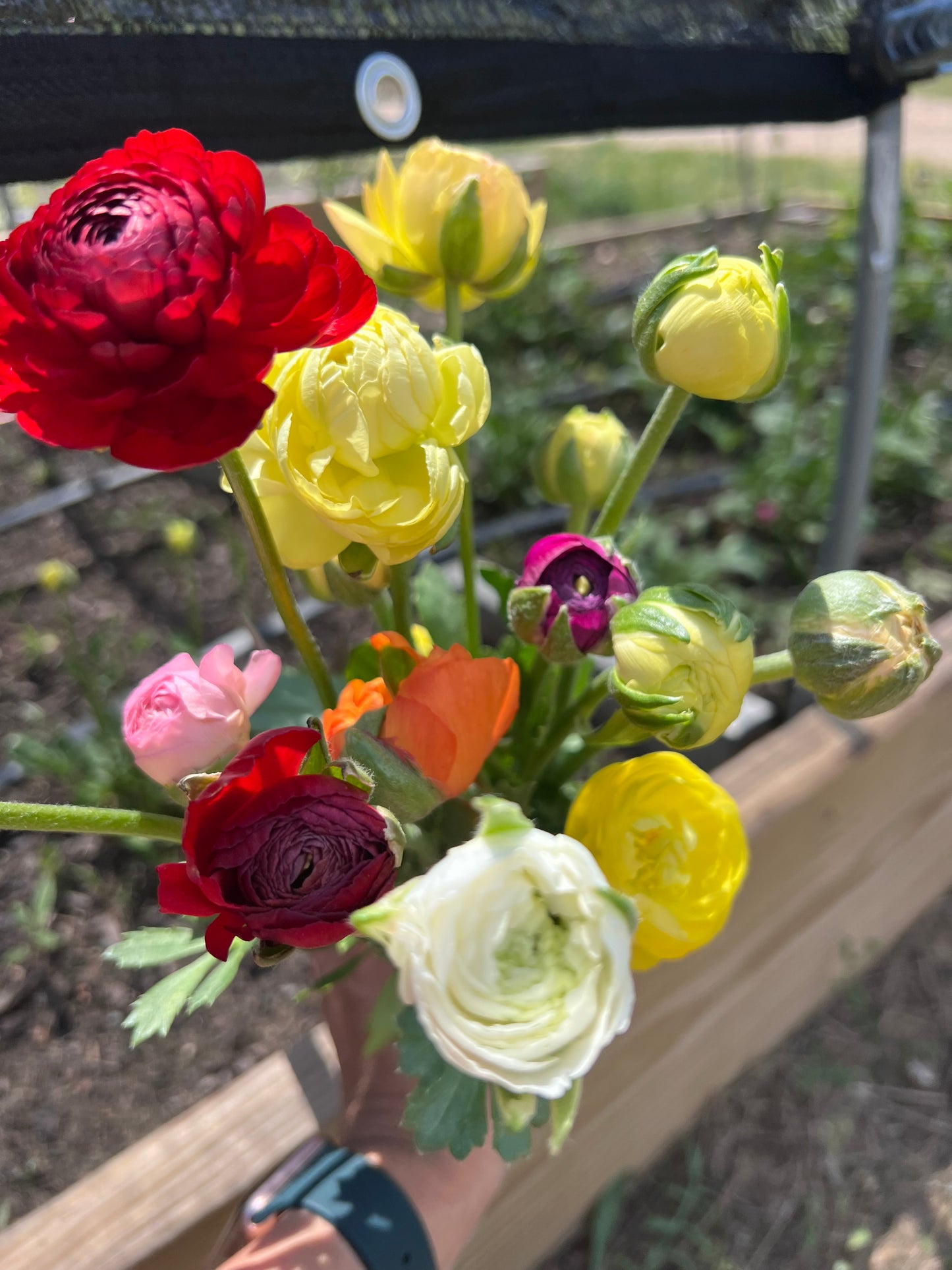 2026 Spring Subscription