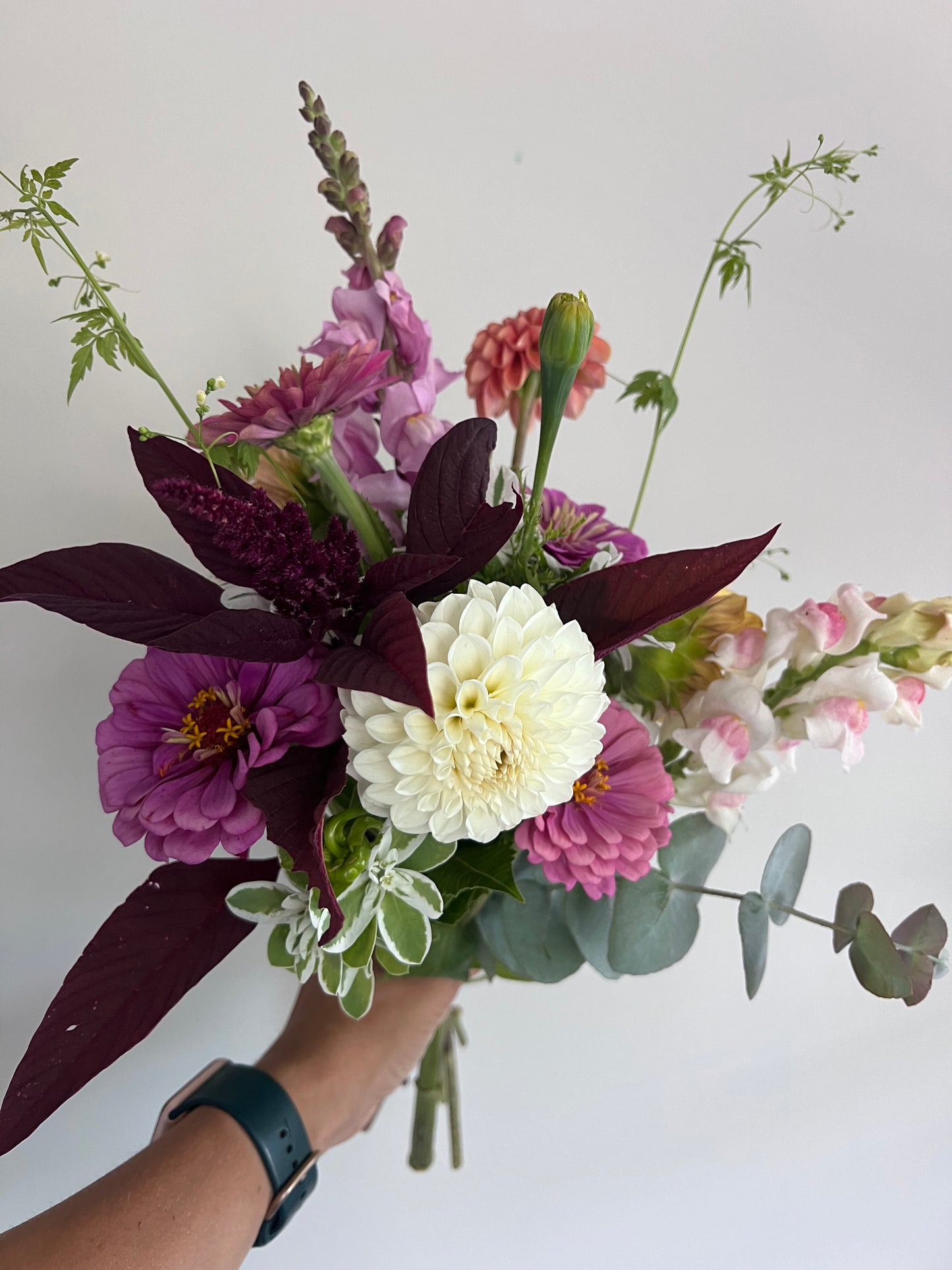 2026 Summer Subscription - Weekly