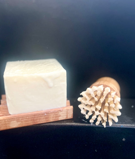 Sunshine Dish Soap Block