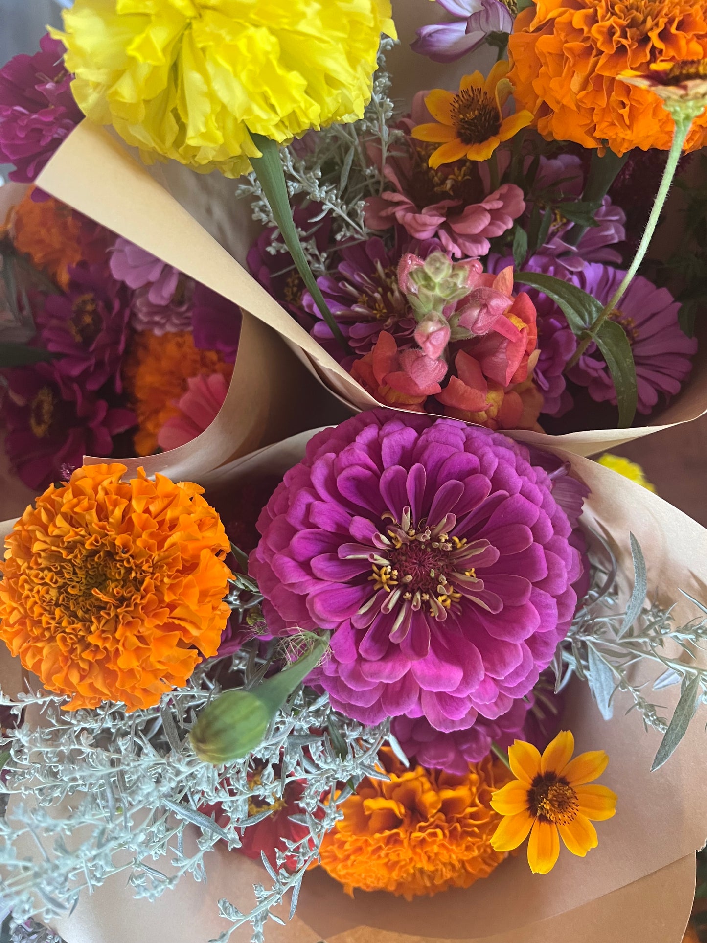 Zinnia Mix Seeds