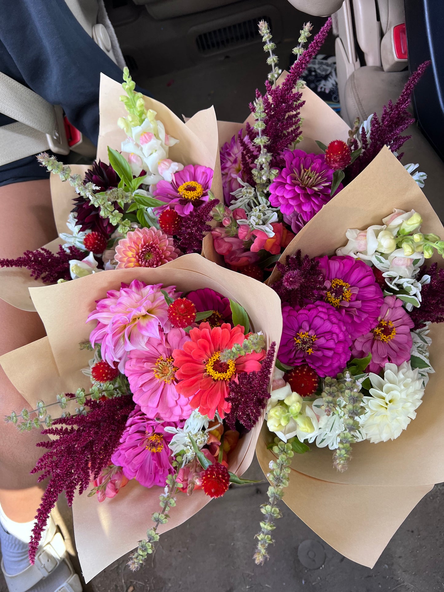 2026 Summer Subscription - Weekly