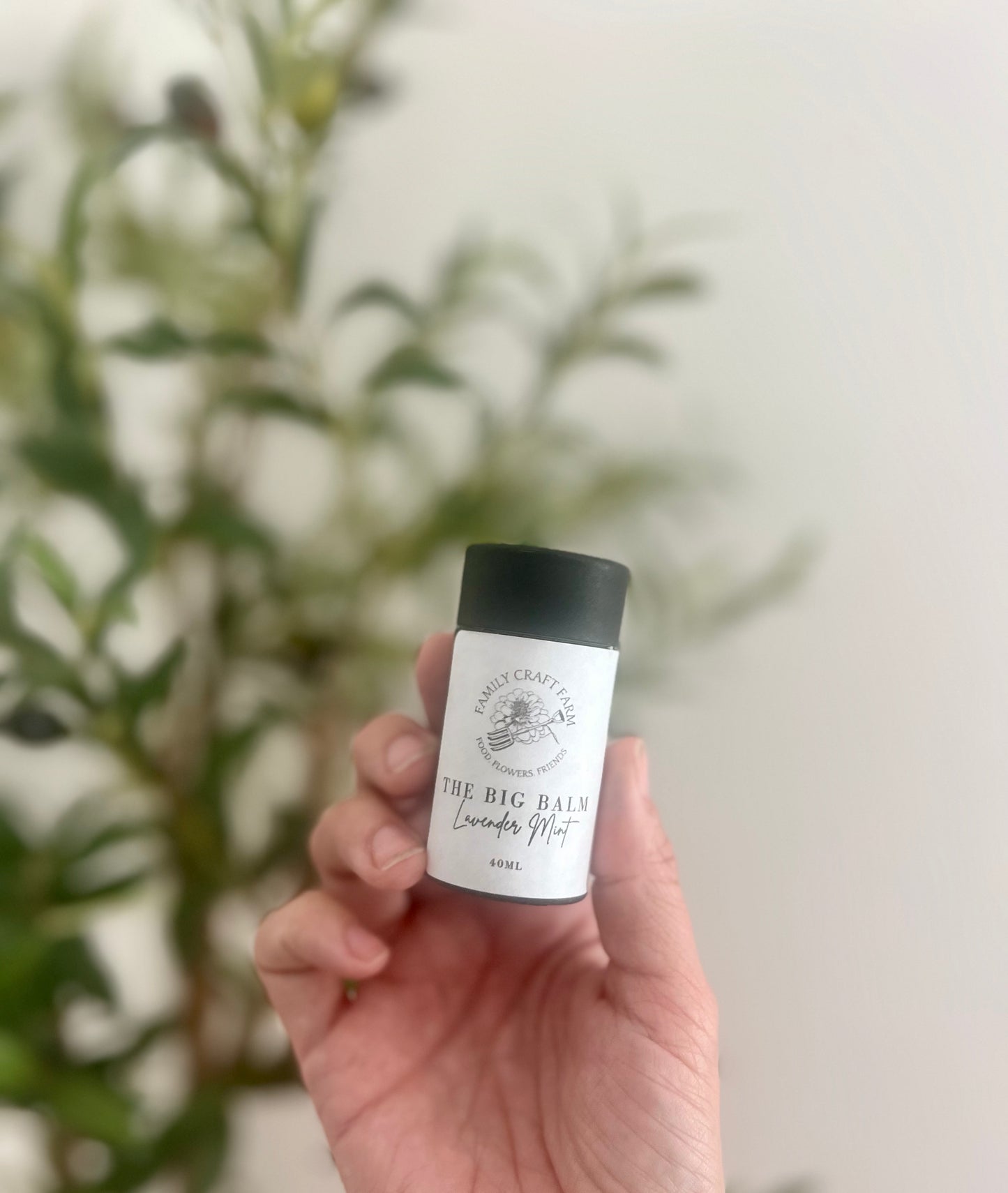 The Big Balm - Healing Tallow Lip Balm