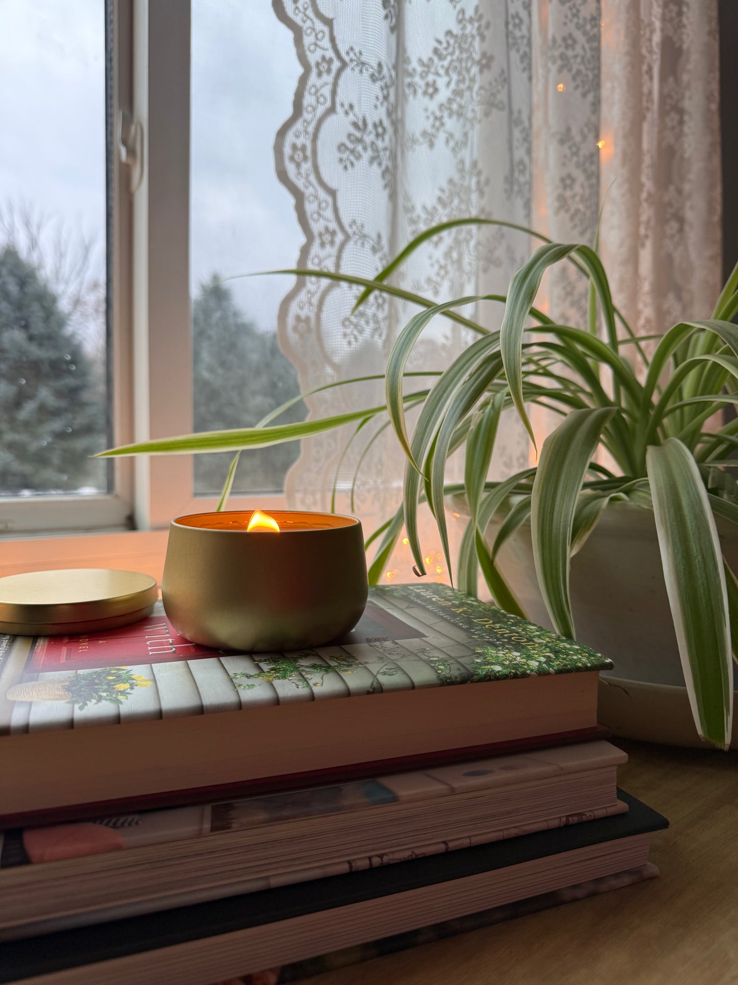 Nostalgic Winter Collection