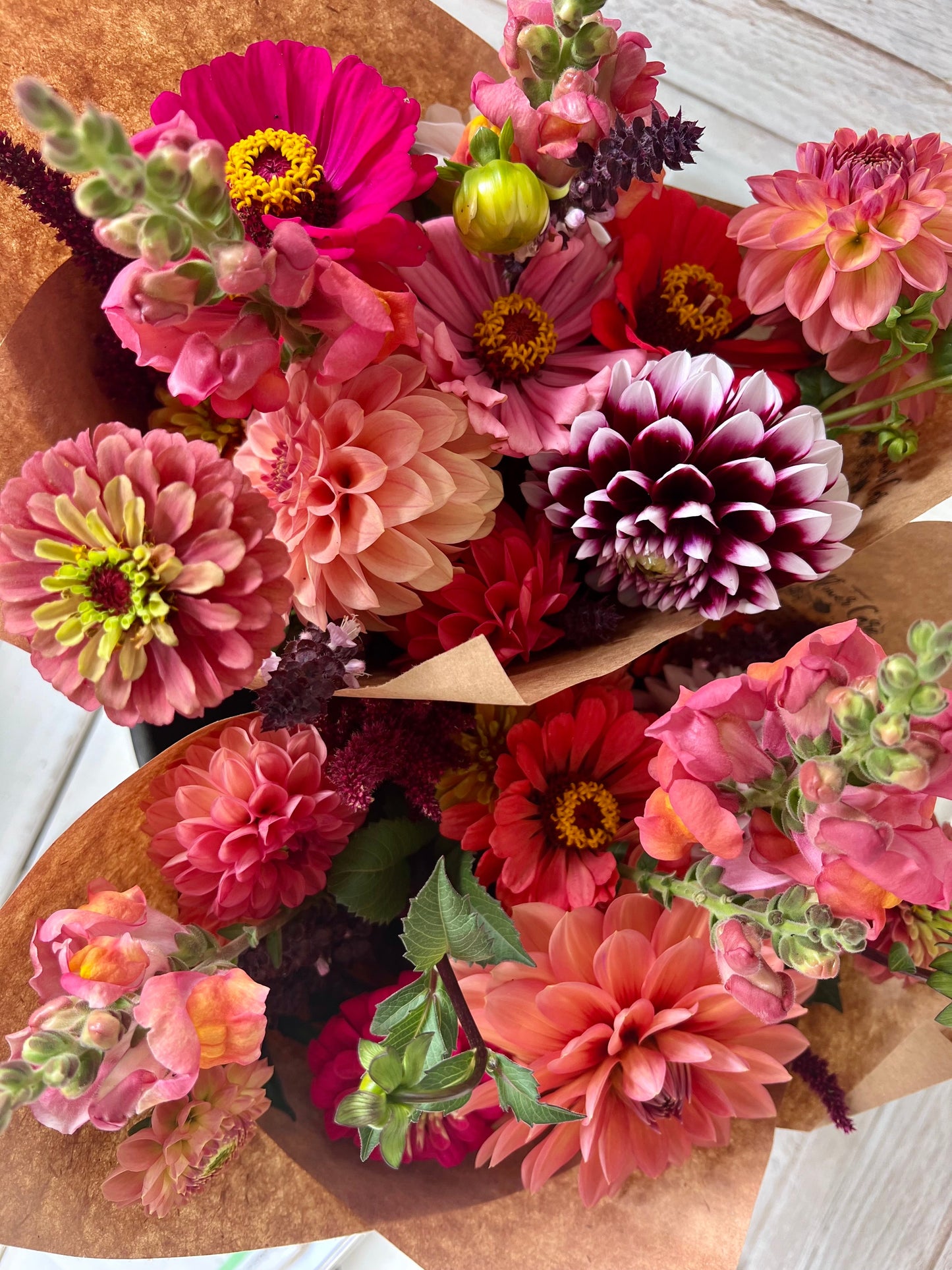 2026 Summer Subscription - Weekly