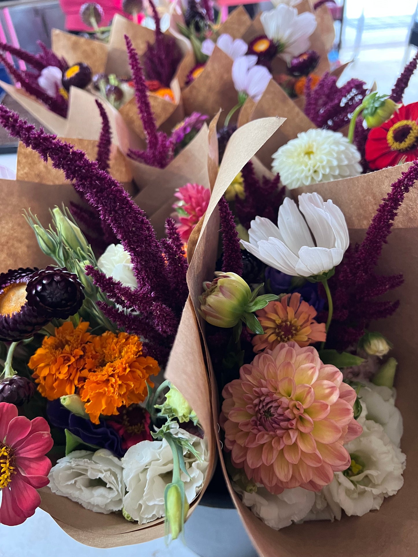 2026 Summer Subscription - Full Season