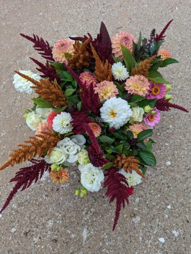 2026 Summer Subscription - Weekly