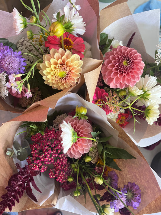 2026 Summer Subscription - Weekly